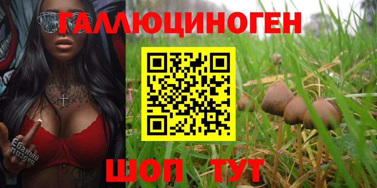 Галлюциногенные грибы Cubensis Ахтубинск