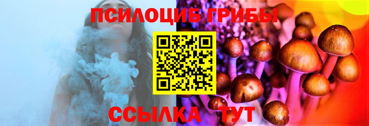 Галлюциногенные грибы мицелий  Вход с VPN  Ахтубинск 